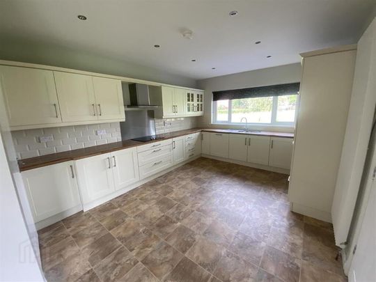 227 Tandragee Road, Portadown, BT62 3RA - Photo 1