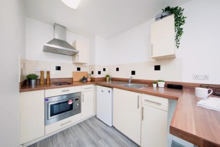 Gold Accessible Studio - Photo 3