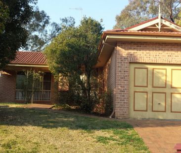 Family Home on a Quiet Street! - Photo 3