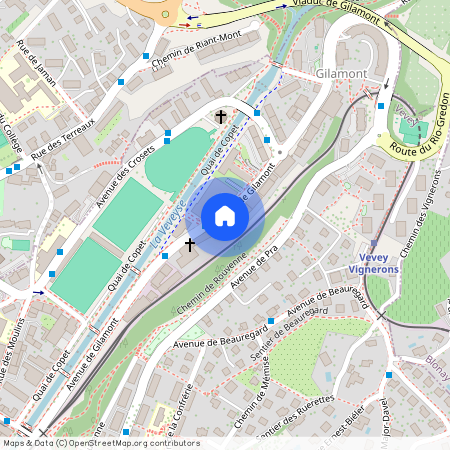 1800, Vevey, Avenue De Gilamont, 40