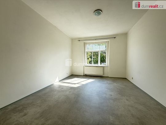 Pronájem bytu 1+1 45 m² - Photo 1