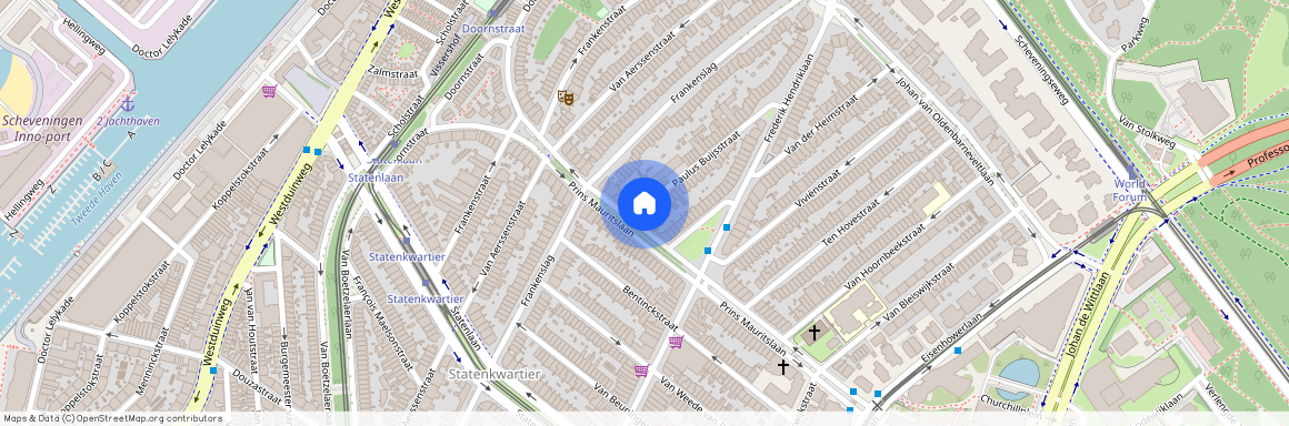 Paulus Buijsstraat 82, 2582 CK, 'S-Gravenhage