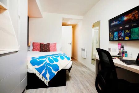 Classic Plus - Photo 5