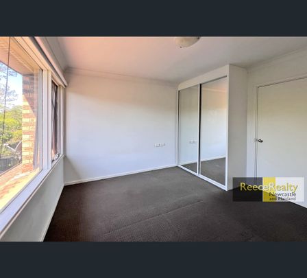 33 Wakool Street, Windale, NSW 2306 - Photo 1