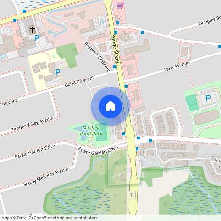 9 Phelps Lane, Richmond Hill