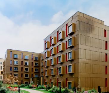 Large Studio - Photo 6