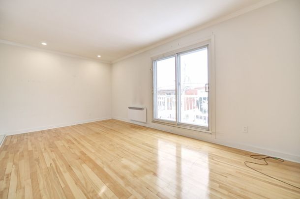 Nouveauté sur le marché Appartement à louer - Montréal (Montréal-Nord) - Photo 1