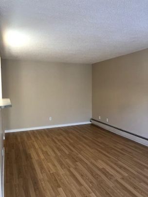 Amazing 2 Bedroom Top Floor Apartment!! - Photo 1