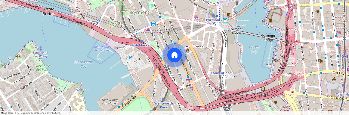 116/209 Harris Street, Pyrmont 2009, New South Wales