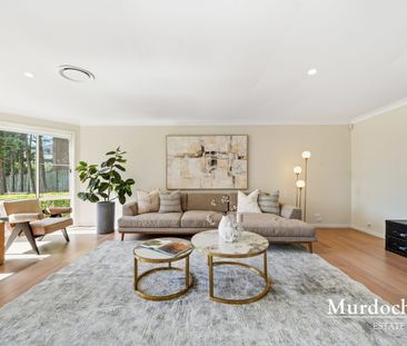 Stroll to Metro • CTHS Zone • Highside Cul-de-sac Family Entertaine... - Photo 3