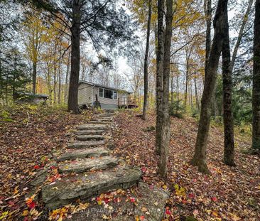 For Lease - 292 Edwina Drive, Trent Lakes, Ontario - Photo 4