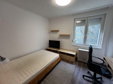 Hajdú-Bihar megye, Debrecen - Fotó 3