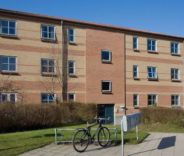 Grejsåvænget 45, 1. th. - Photo 2