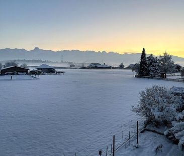 31/2-ROOM APARTMENT IN OPPLIGEN (BE), FURNISHED, TEMPORARY - Photo 4