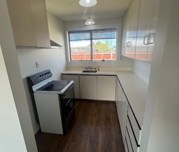 4 Todd PlaceAllenton - Photo 5