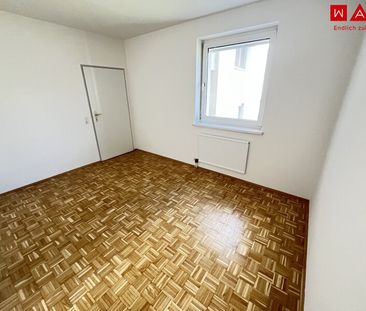 Sofort verfügbare und neu sanierte 2-Raum-Wohnung inkl. Loggia! - Photo 3