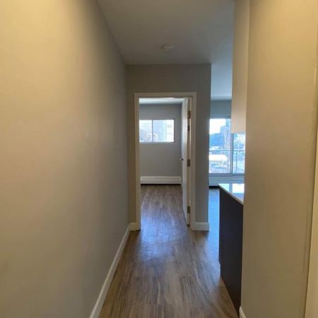 1 CH - 1 SDB - Montréal - $1,375 /mo - Photo 4