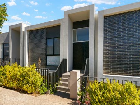 31 Abercrombie Avenue, Woodforde - Photo 5