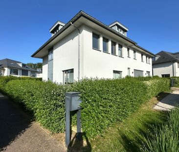 1410, Waterloo - Photo 6