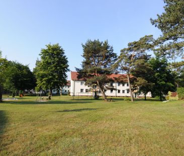 SCHWANEWEDE | renovierte und ruhige 3-Zi.-Whg. mit Loggia, in der Nähe zum Stadtwald - Photo 2