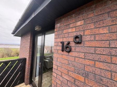 16a Waddells Hill, Comber, BT23 5WJ - Photo 5