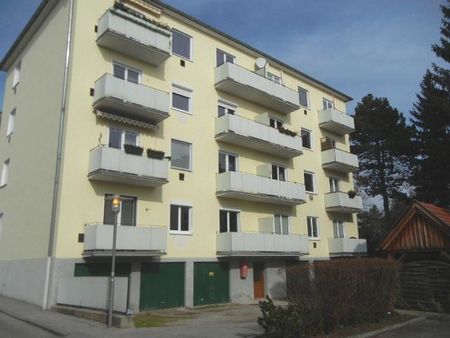 Helle Mietwohnung mit Balkon in sehr beliebter, ruhiger Lage von Krems (Uni-Nähe!) - Photo 5
