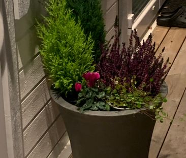 Solhemsvägen, Huddinge - Photo 4