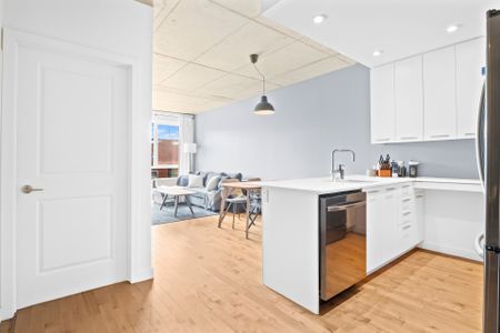555 Boul. René-Lévesque E. #307, Montréal (Ville-Marie), H2L0C2 - Photo 4