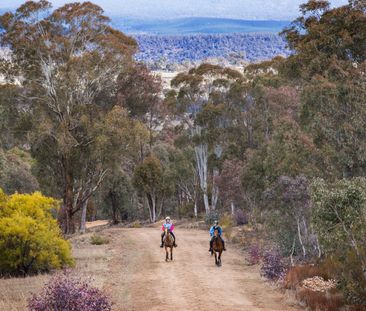 Pretty Awesome - Photo 4