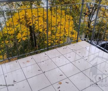 Marcina Kasprzaka, ZACHODNIOPOMORSKIE, GUMIEŃCE, Szczecin - Zdjęcie 6