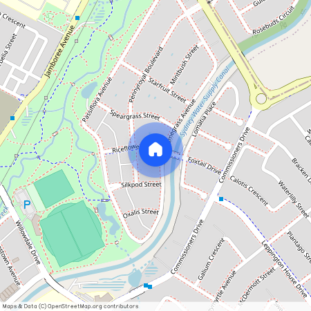 52 Plumegrass Avenue, NSW 2565, Denham Court