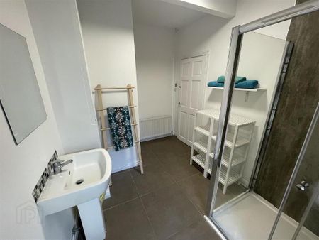 4 Larkstone Street, Belfast, BT9 7HP - Photo 3