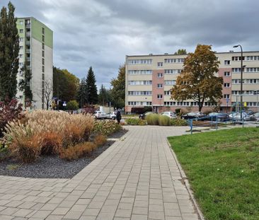 Mieszkanie 3 pok. rozkładowe 50 m2, Teofilów B - Photo 4