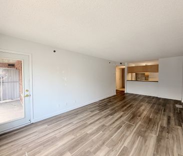 3½ St-Jean-Baptiste – Rabais 100$/mois - Photo 1