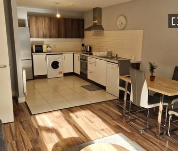 Studio apartment for rent in Rotunda, Dublin - Photo 4