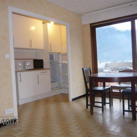 Location appartement 1 pièce 26.98 m² à Cluses (74300) - Photo 3