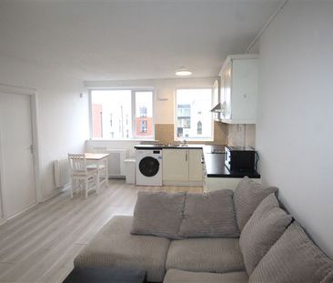 Parkview Mansions, Harold's Cross, Dublin 6W, D6WX258 - Photo 5