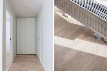 Carlsgatan, Malmö - Photo 5