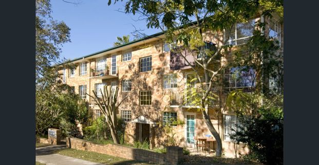 Charming Unit in Prime Location Walk to Everything! - Photo 1