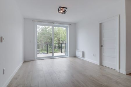 5317 René-Lévesque - Photo 5