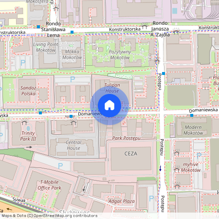 ul. Domaniewska, Służewiec, Mokotów, Warszawa, mazowieckie