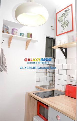 Apartament 2 Camere Pet&Foreigners Friendly Unirii G 311 - Fotografie 5