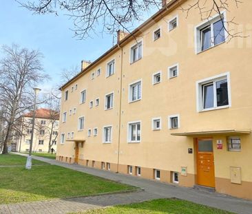 Pronájem bytu 2+1 63 m², Hálkova 818, České Budějovice - Photo 3