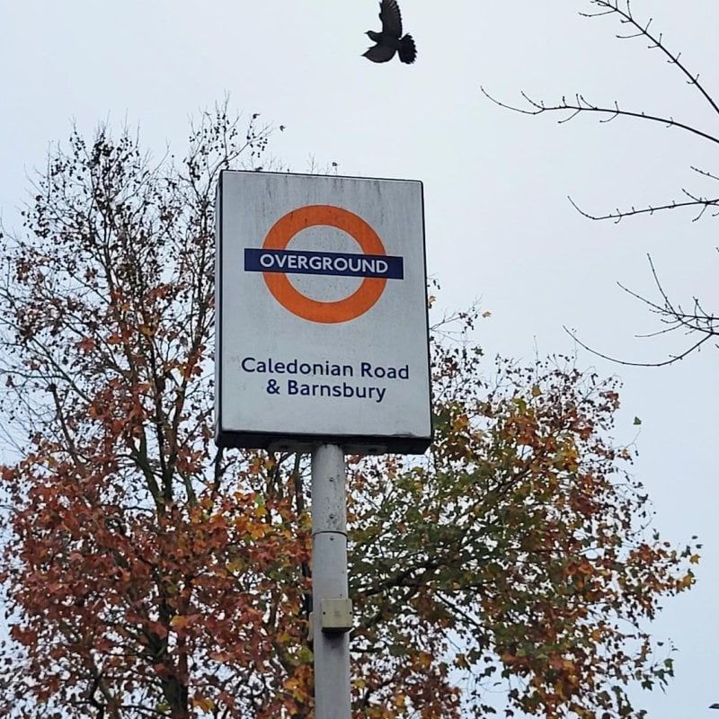 Caledonian Road - Photo 1