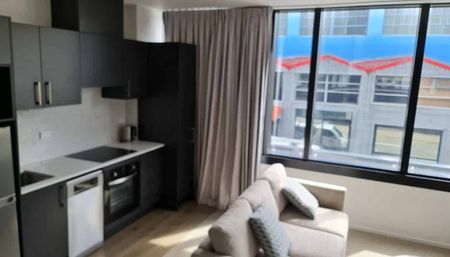 Furnished apartment located on the Taranaki Street - Photo 2