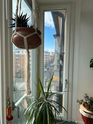 Tegelviksgatan, Stockholm - Foto 1