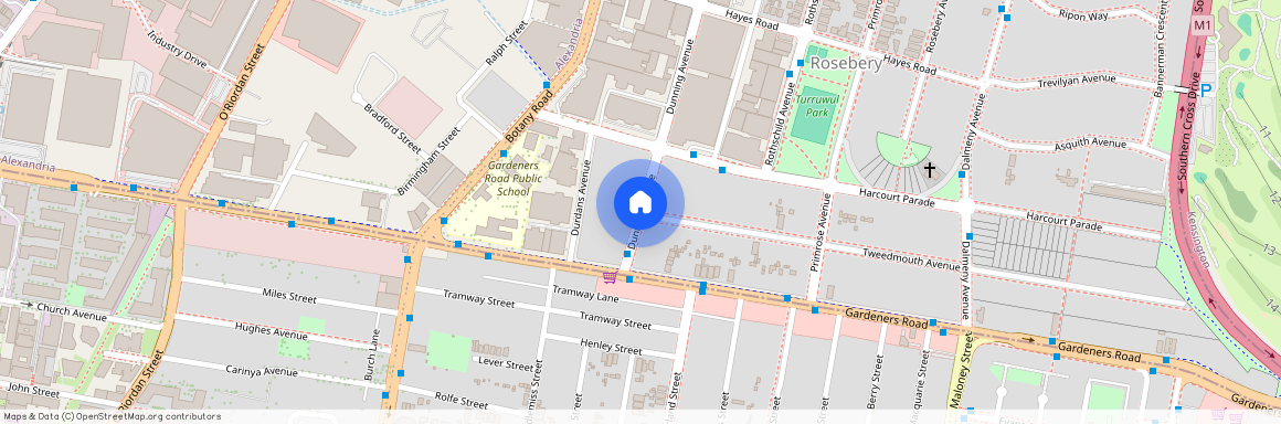 Dunning Avenue, Sydney, New South Wales 2018