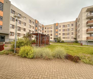 3 pokojowe mieszkanie przy ul. Arrmii Krajowej - Photo 3