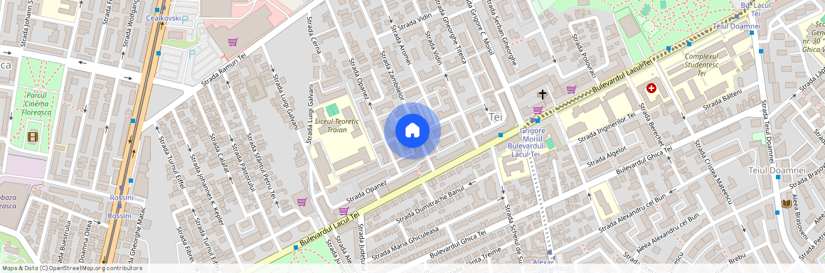 Lacul Tei, Bucuresti