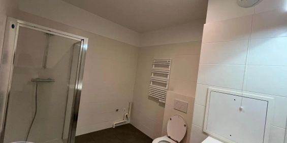 Appartement à louer 1 pièce 27.8m² - Photo 3